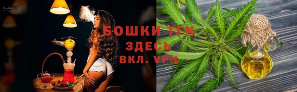 стаф Арсеньев