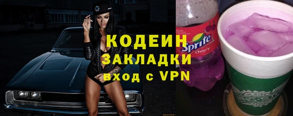 стаф Арсеньев